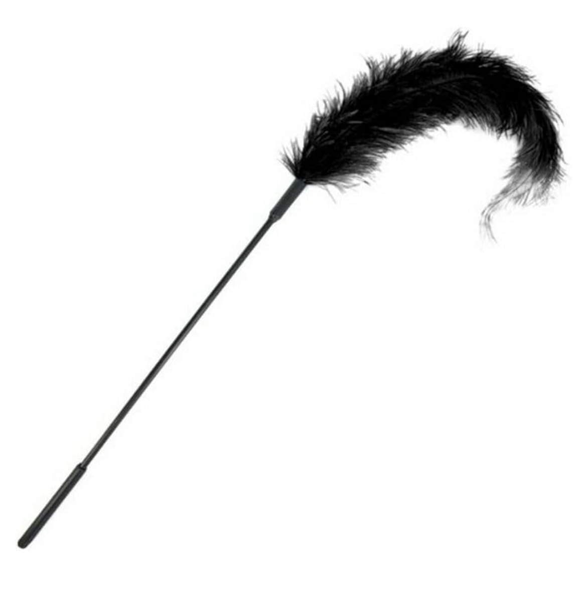 Cod. 69 Pluma para Estimulación